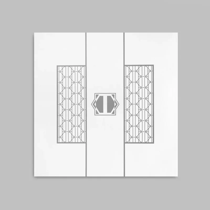 Salad plate Tomita