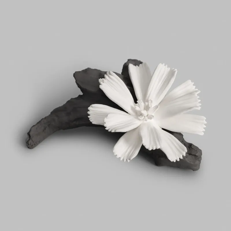 Ceramic sachet Carnation