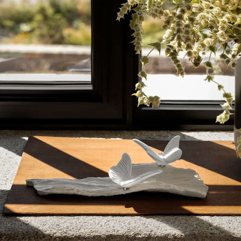 Ceramic sachet Fois