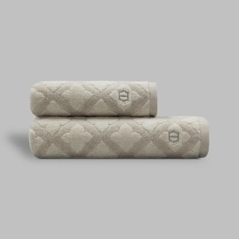 Towel Leterrier