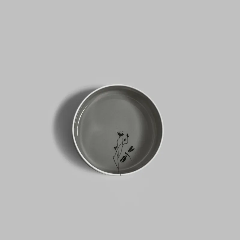 Salad plate Naoto