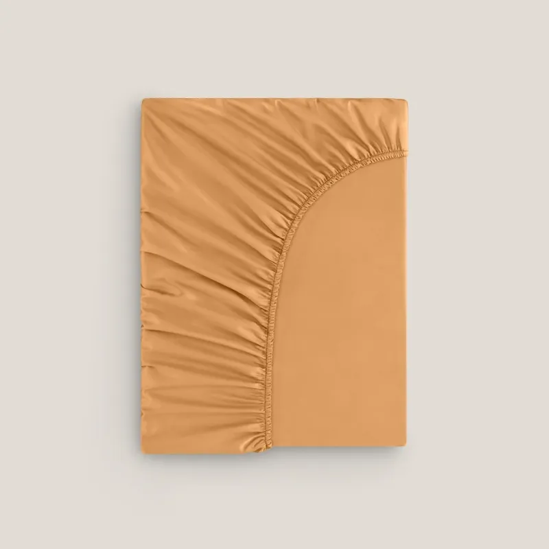 Sheet Rhapsody