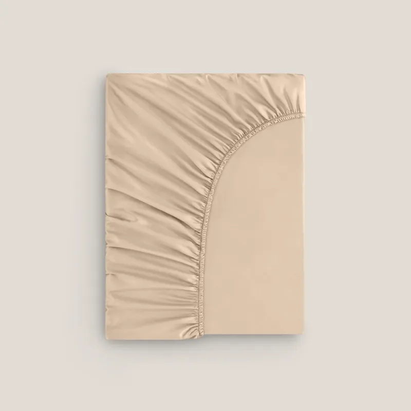 Sheet Rhapsody