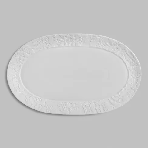 Dish Ayler