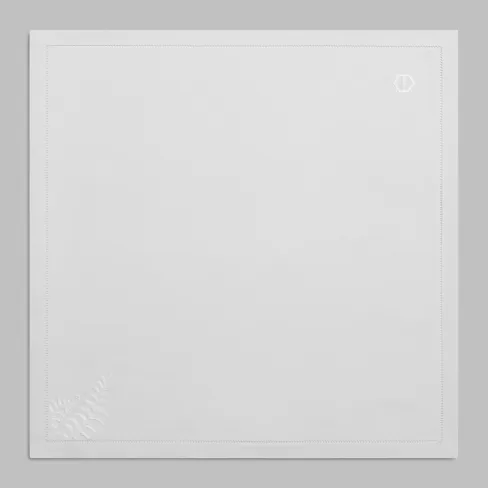 Napkin Ayler