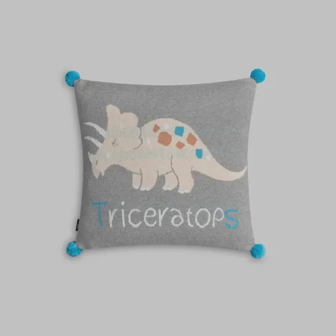 Decorative pillow Dinno