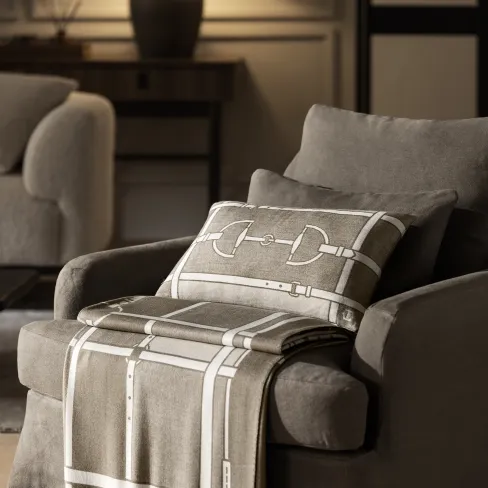Decorative pillow Equilion