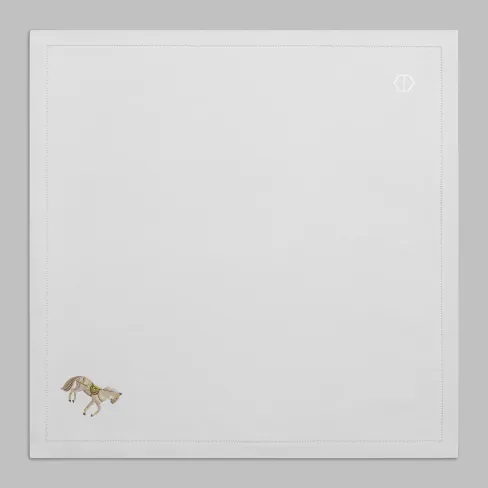 Napkin Equilion