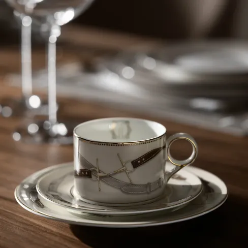 Tea Cup and Saucer set Equilion