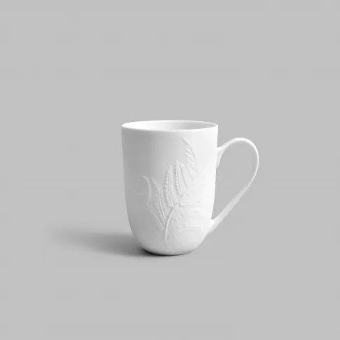 Tea cup Fern