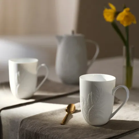 Tea cup Fern
