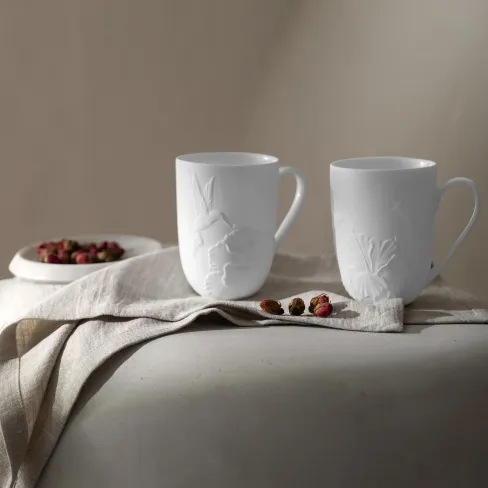 Tea cup Hibiscus