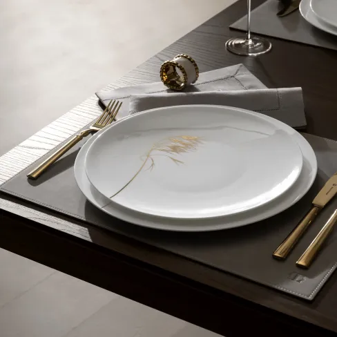 Dinner plate Naturis