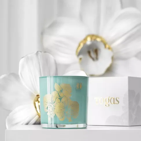 Scented candle Apricot & Oat