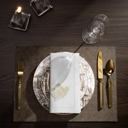 Napkin Olympia