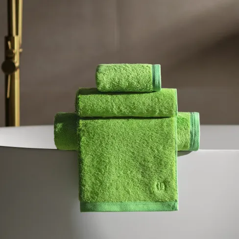 Towel Poitier