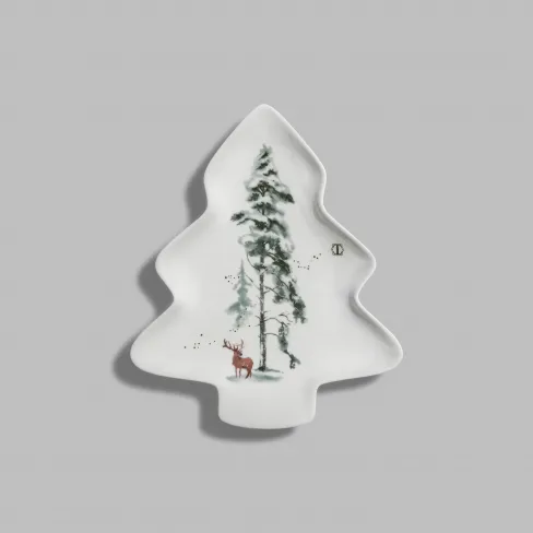 Dish Snowy