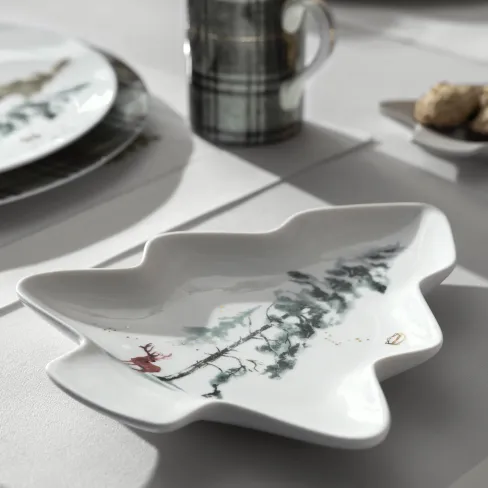 Dish Snowy