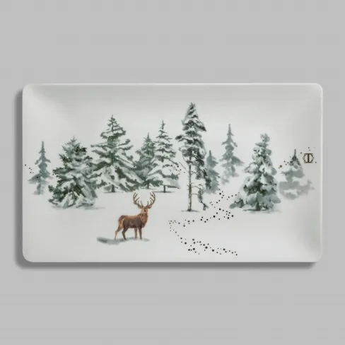 Dish Snowy