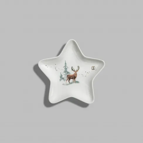 Dish Snowy