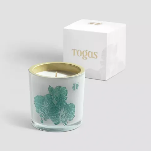 Scented candle Woody Saffrom Oznu