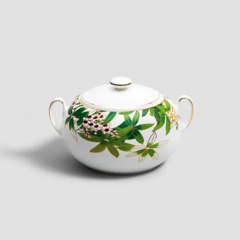 Tureen Belize
