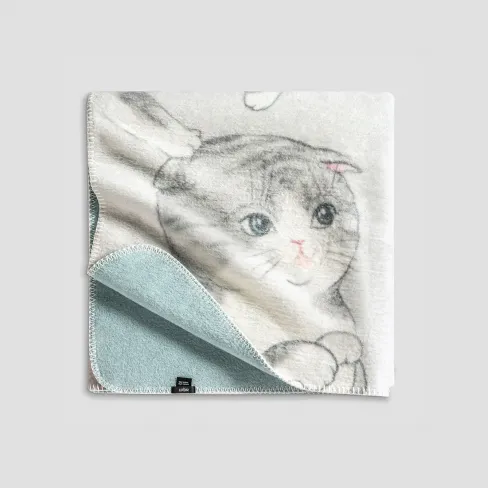 Throw Kitty