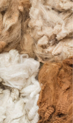 wool