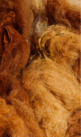 wool