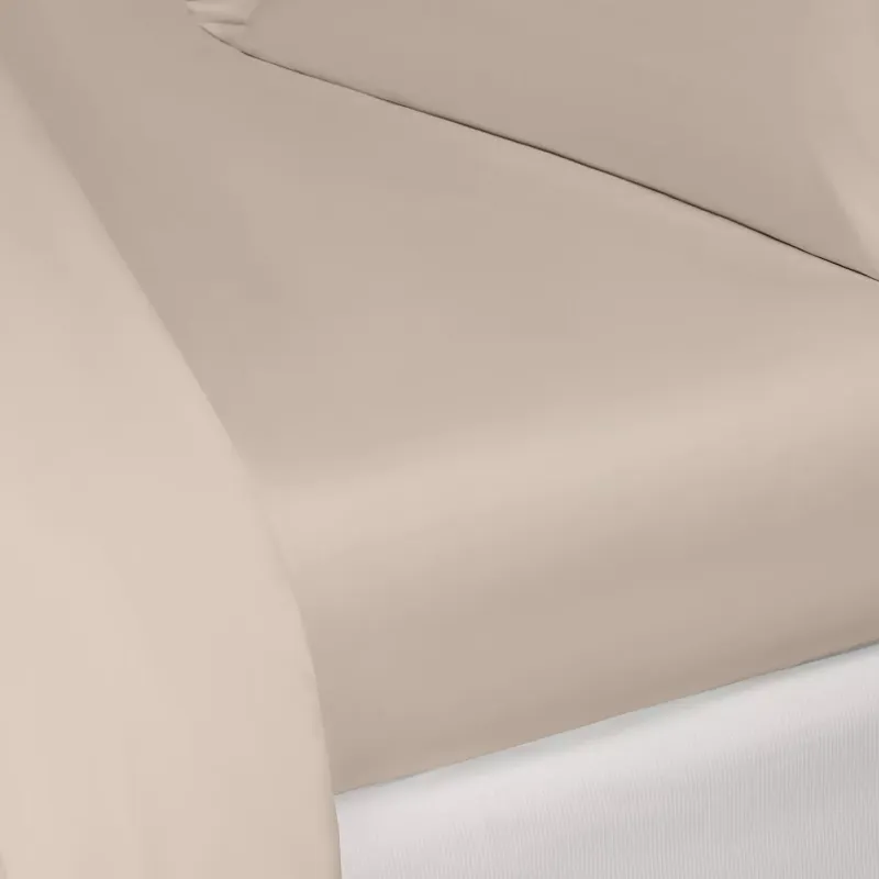 Sheet Royal