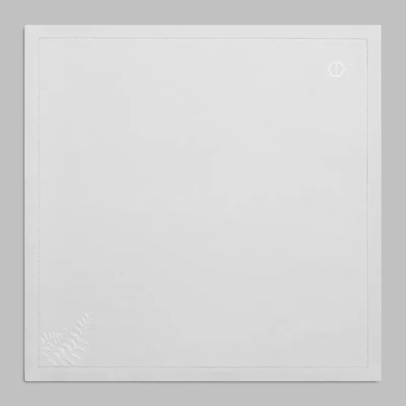 Napkin Ayler