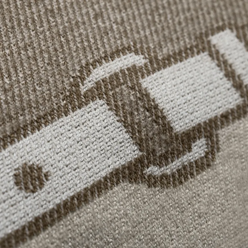 Decorative pillow Equilion