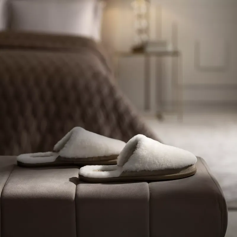 Slippers Florida