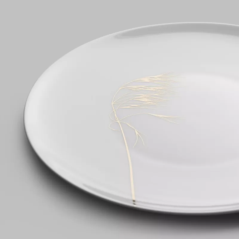 Dinner plate Naturis