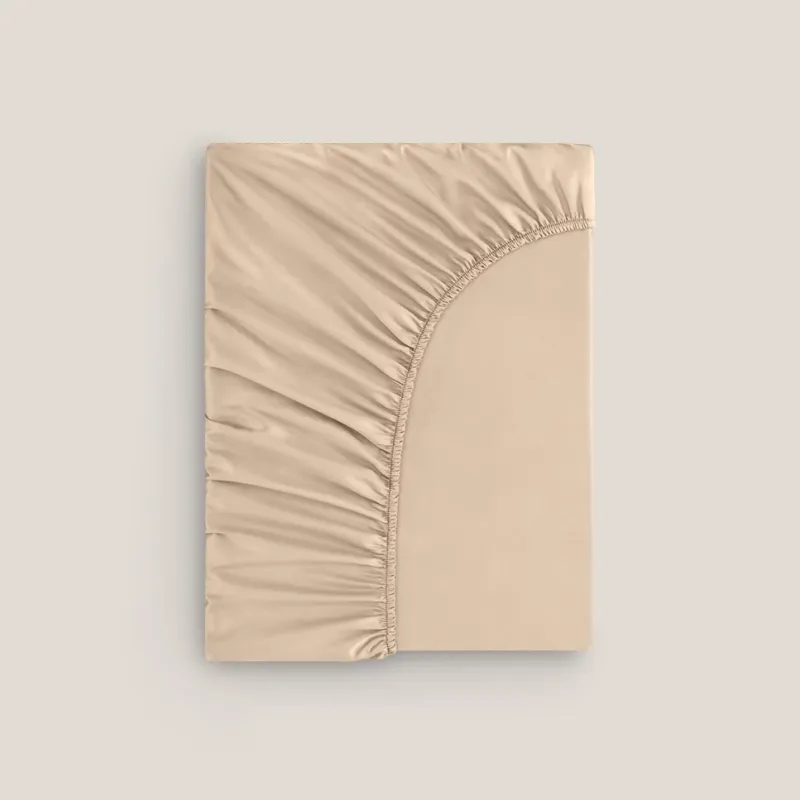 Sheet Rhapsody