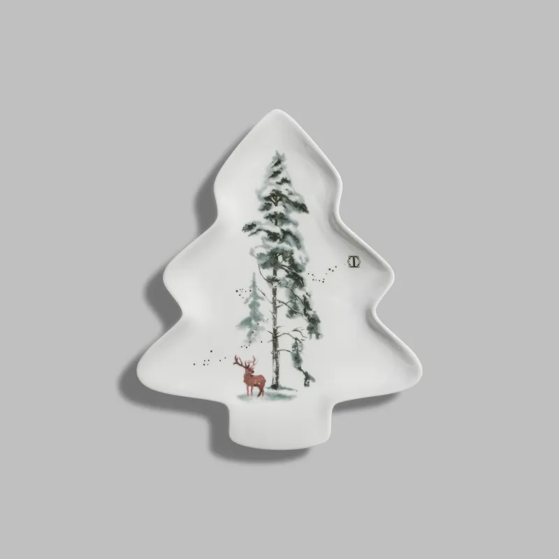 Dish Snowy