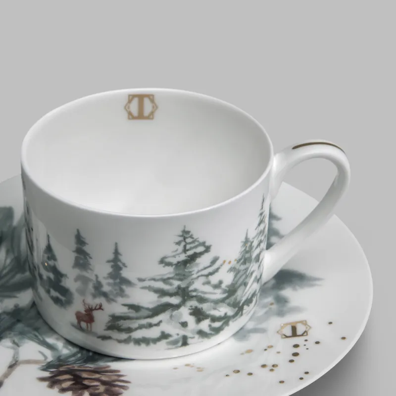 Tea Cup and Saucer set Snowy