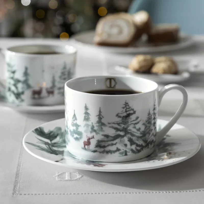 Tea Cup and Saucer set Snowy
