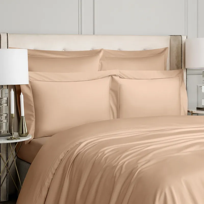 Sheet Rhapsody