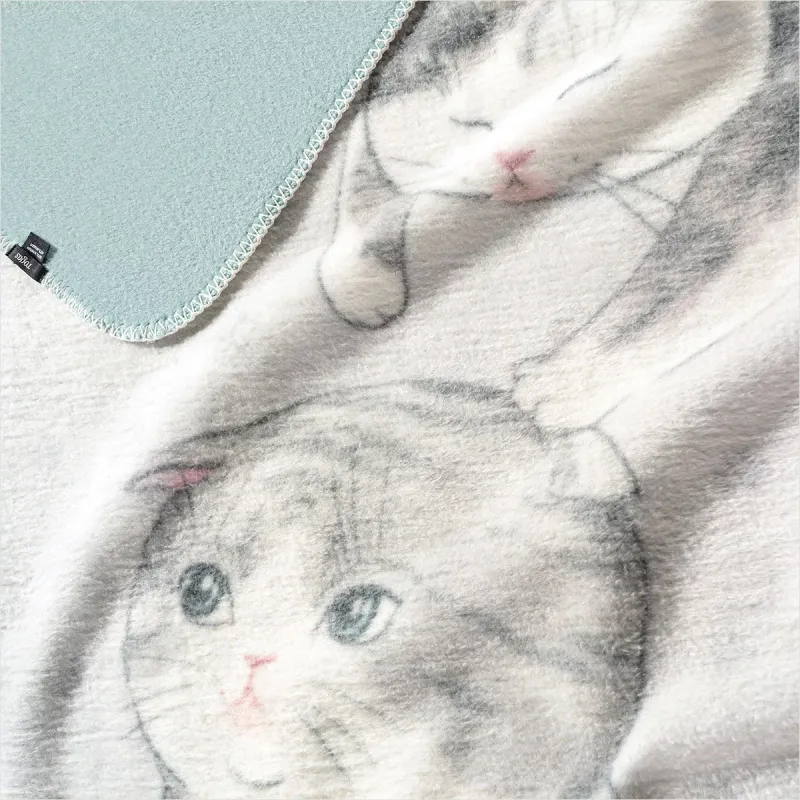 Throw Kitty