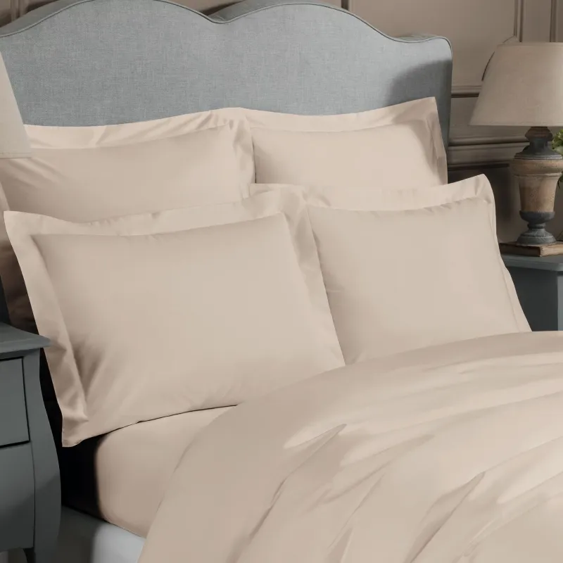 Sheet Royal