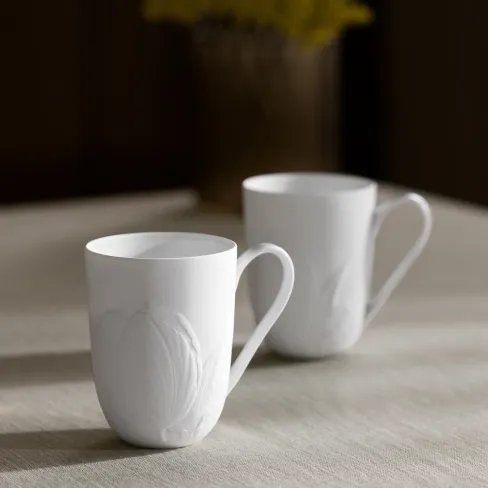 Tea cup Tulip