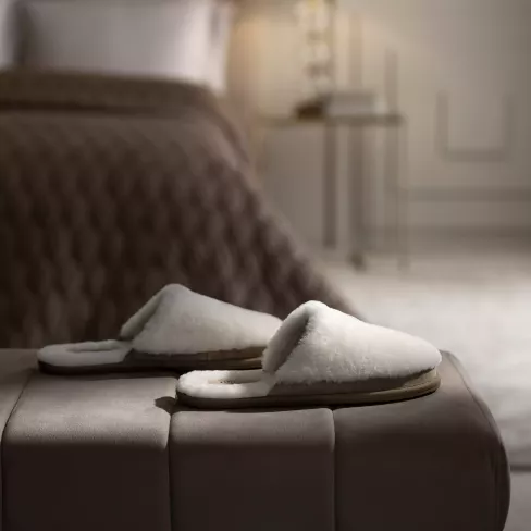 Slippers Florida