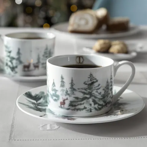Tea Cup and Saucer set Snowy