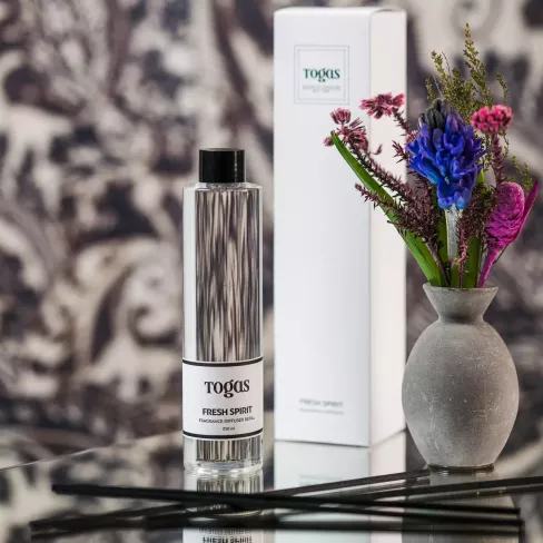 Refill for aroma diffuser Fresh Spirit