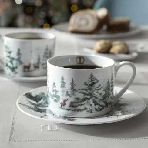 Tea Cup and Saucer set Snowy
