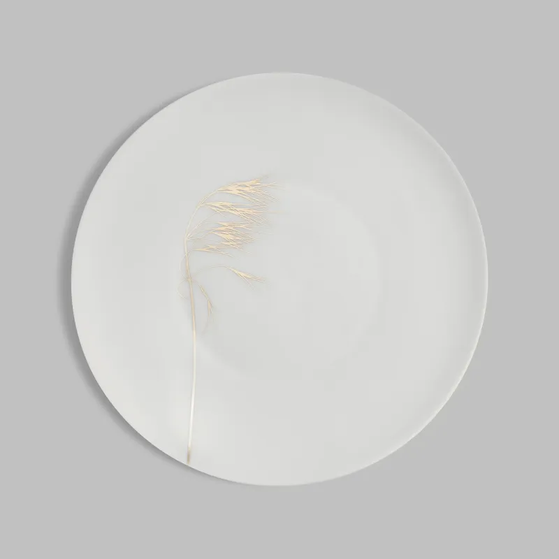 Dinner plate Naturis