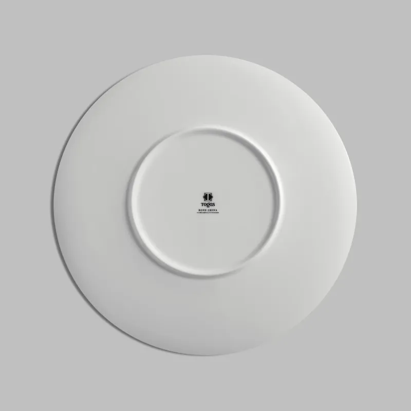 Dinner plate Naturis