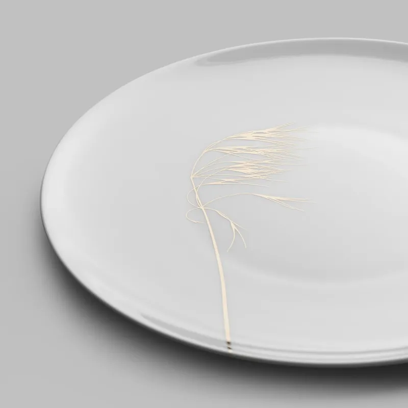 Dinner plate Naturis