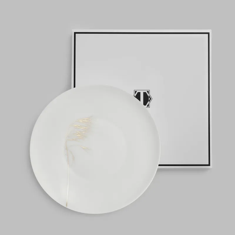 Dinner plate Naturis